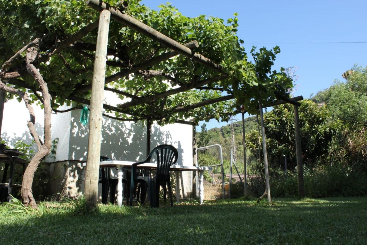 Casa La Maceta Villa Cadiz Ngoại thất bức ảnh